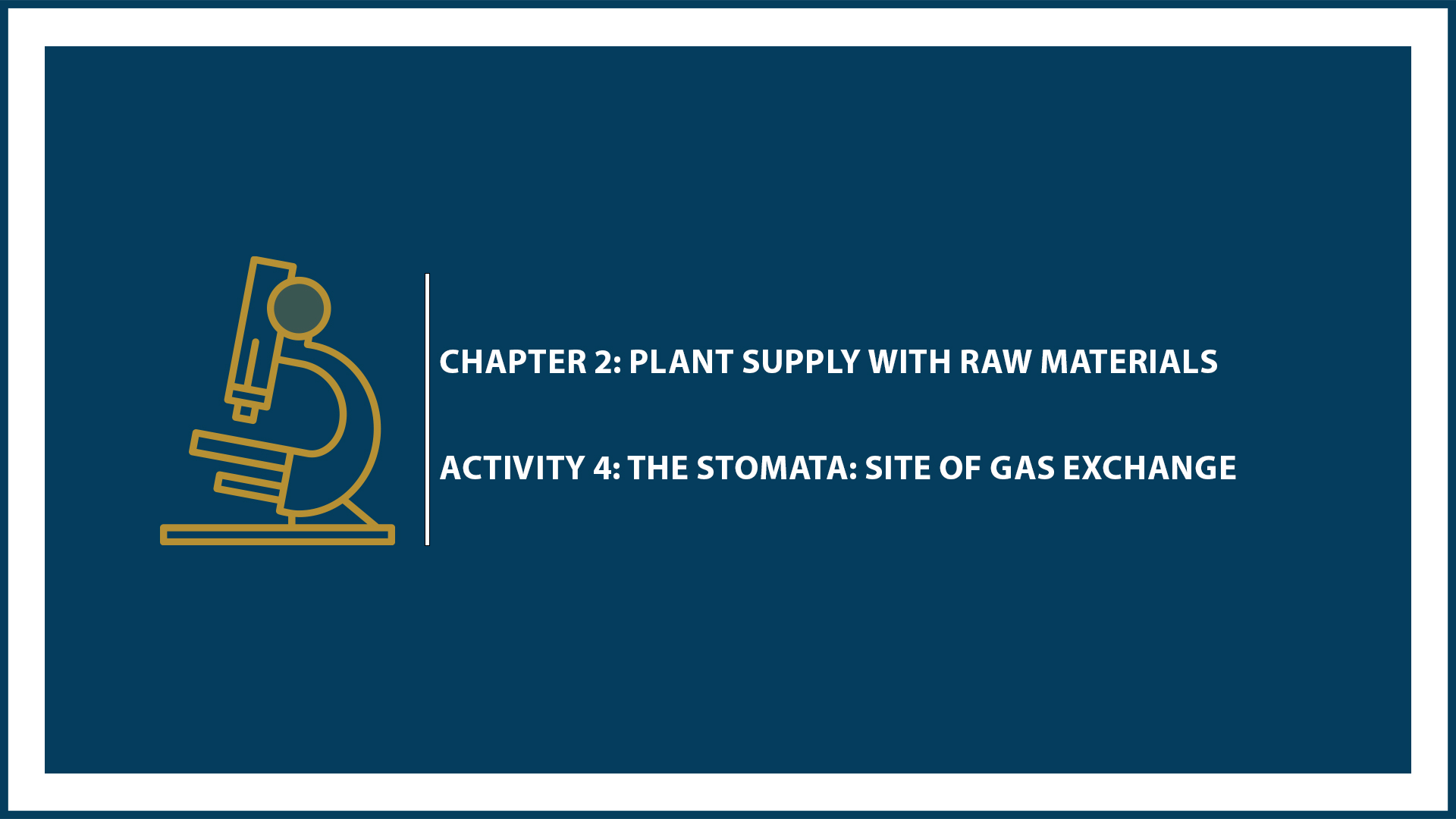 Chapter 2: Activity 4: The stomata: Site of Gas Exchange